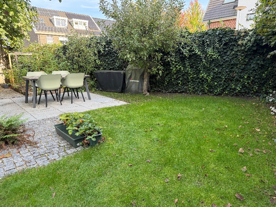 Pruimenboom, terras en waterpartij, foto 3
