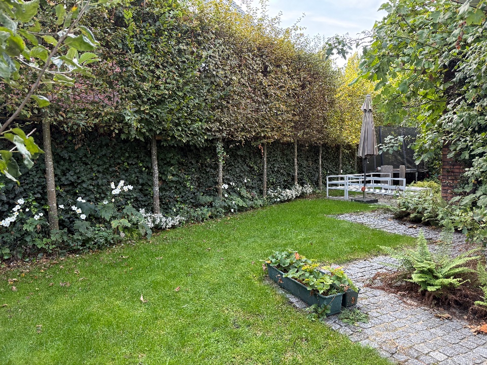 Ruime achtertuin met schutting en zithoekjes, foto 2